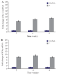 <p>Figure 10.&nbsp; IL-12 (fig. 10-A), IL-4 (fig. 10-B), IFN-&gamma; (fig. 10-C) expression in the draining lymph nodes obtained from BALB\c mice inoculated with 100 <em>&micro;g</em> V-ATPase subunit F DNA vaccine. The messenger RNA (mRNA) for <em>IL-12, IL-4, IFN-&gamma;</em> genes were deter-mined by RT-PCR. As geometric mean&plusmn;SD (three dLNs). The re-lative quantification was performed by the comparative Ct method (△△Ct), using lymph node from uninfected animals, respectively, as calibrator (Fold change=1).</p>
<p>&nbsp;</p>