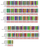 <p>Figure 5. Amplification products of extracted plasmid on 2% agarose gel electrophoresis stained with ethidium bromide. Lane 1:&nbsp; DNA ladder 1 <em>kb</em>, lane 2: undigested plasmid band, lane 3,4: digested plasmid shows a band of V-ATPase subunit F gene and a band of the plasmid.</p>