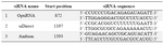 Table 3. Selected siRNA duplexes specific for RORC2 gene