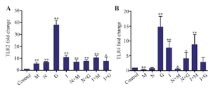 <p>Chart 1. The mean&plusmn;SD lesion in the test and control groups after treating mice with M (Morphine), N (Nalmefene), G (Glucantime), I (Imiquimod) during 7 weeks after challenge with promastigotes of <em>Leishmania major</em> in stationary phase.</p>