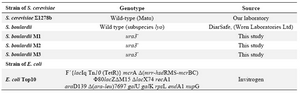 Table 1. Strains used in this study