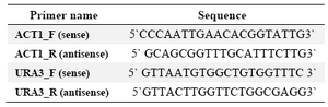 Table 2. Primers used in this study