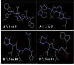 Figure 2. Peptidomimetic structures that designed by SuperMimic Program