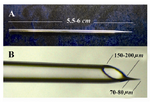 Figure 2. A) Prepared borosilicate glass capillary; B) Sharp tip of modified embryo transfer pipette
