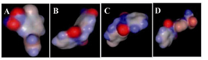 Figure 3. The electrostatic surface of compounds; A) NB-64; B) DAA-6; C) DAA-9 and D) DAA-12. These compounds are similar in their electric surface