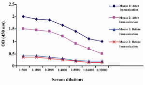 Figure 1. Serum titration of two immunized Balb/c mice by ELISA. Mice were immunized five times by intraperitoneal injection of 50 µg human ferritin