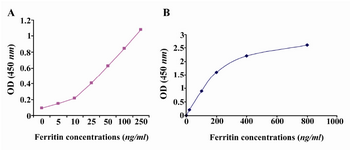 Figure 4. A) In house developed ELISA standard curve for 2F9-C9 mAb; B) Standard curve of commercial kit