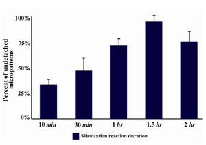 Figure 3. Percentage of spots detached from glass surface after 24 hr of incubation DMEM 10% FBS