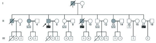 Figure 1. The pedigree of an Iranian IBGC-affected family showing transmission of autosomal dominant trait. Filled symbols represent individuals clinically and radiologically affected. The heterozygous C/T mutation was found in both the affected and unaffected members