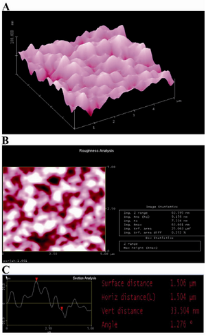 Figure 2. AFM image of agarose layer on unmodified glass: A) three-dimensional image: B) roughness analysis of surface (two-dimensional image) and C) section analysis of agarose layer