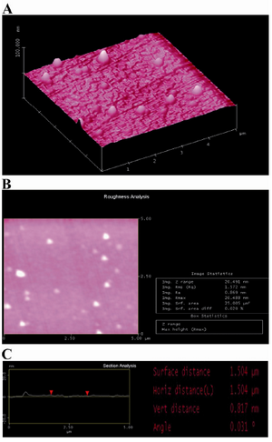 Figure 3. AFM image of PLL coating: A) three-dimensional image; B) roughness analysis of surface (two-dimensional image) and C) section analysis of PLL layer