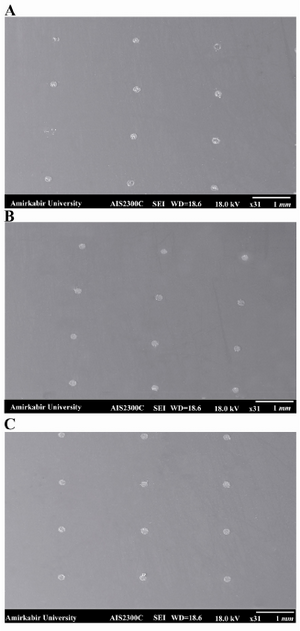 Figure 5. SEM image of the spots written on the A) PLL coated glass slide, the spots were irregular and non-uniform in shape and size; B) agarose coated glass slide, the spots were more regular and uniform in shape and size compared with the spots on PLL coating; C) agarose-PLL coated glass slide, the most uniform and regular spots were formed on agarose- PLL coated slide 4. SEM image of agarose layer on the surface of the slides