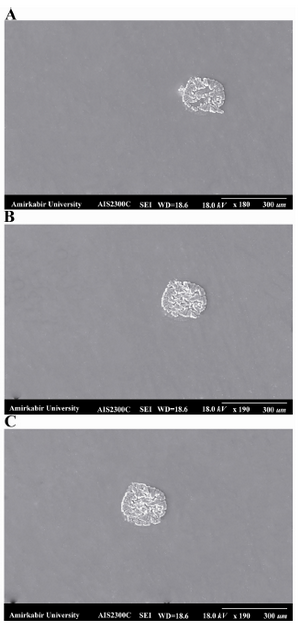 Figure 6. The shape of one spot on the A) PLL coated glass slide, the shape of spot on PLL coated glass was more irregular and had defects in the center of the spot; B) agarose-coated glass slide, the shape of this slide was more desirable than spots on PLL coated glass; C) agarose-PLL coated glass slide. The best round spot was obtained on agarose-PLL coated glass slide