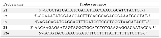 Table 1. Sequences of DNA probes spotted on the fabricated substrates