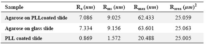 Table 3. Surface analysis data of the samples