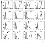 Figure 4. Immunophenotyping of hAECs. The representative results of four independent experiments have been shown. In each graph, open and filled histograms represent test and isotype-matched control Abs, respectively