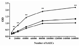 Figure 6. Proliferative capacity of hAECs. The proliferation of hAECs, cultured for 72 hr in the presence (filled triangle) or absence (filled rectangle) of EGF, was determined using XTT. Moreover, cell proliferation was investigated immediately after seeding (0 hr) (filled circle) and every 24 hr until 72 hr. For simplicity, only the results of proliferation at 0 hr and after 72 hr are provided in the figure. The comparison was made between proliferation of hAECs cultured in the presence and absence of EGF for 72 hr (**: p<0.01)