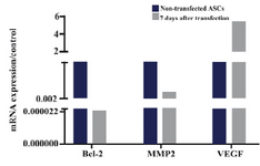 Figure 3. 2-ΔΔCt of Bcl-2, MMP2 and VEGF in ASCs, 7 days after transfecting with IP-10 plasmid and in non-transfected cells
