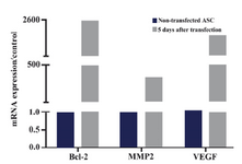 Figure 4. Bcl-2, MMP2 and VEGF mRNA expressions in ASCs 5 days after transfecting with SDF1 plasmid and in non-transfected cells. The data were shown as 2-ΔΔCt