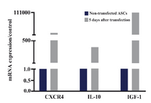 Figure 5. IL-10, CXCR4 and IGF-1 mRNA expressions in ASCs 5 days after transfecting with SDF1 plasmid and in non-transfected cells. The data were shown as 2-ΔΔCt