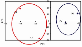 Figure 3. PCA analysis of data obtained from figure 2. N) Normozoospermic; A) Azoospermic