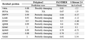 Table 3. Predicting the effect of residual substitutions through amino acid substitutions tools Polyphen2, PANTHER and I-Mutant2.0