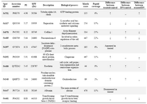 Table 1. MALDI-TOF-MS identification of proteins isolated from kidney treated with RAd-FMOD and diabetic nephropathy kidney
   ↓; down-regulated, ↑; up-regulated
