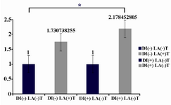 Figure 1. LLLT increases Fgf expression from isolated skin fibroblasts in diabetic mice in comparison with non diabetic mice, significantly [DI(-)LA(-) in comparison with DI(+)LA(+)] The starred column, DI(+)LA(+), shows this significant increase. Fgf expression between diabetic and non-diabetic mice before laser exposure [DI(-)LA(-) and DI(+)LA(-)] shows no significant difference