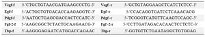 Table 1. Primers sequences