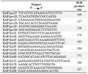 Table 2. Primer sequences used for the amplification of promoter and exon-coding regions of RAP1A gene