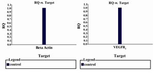 Figure 1. Housekeeping gene (β-Actin) expression in comparison with target gene (VEGFR2)