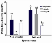 Figure 1. The oocyte activation and the proportion of decondensed dog sperm head with different sources after intracytoplasmic sperm injection into the sheep oocyte a-c The column with different superscript letter differs significantly (p<0.05)