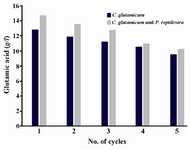 Figure 1. Reusability of immobilized cells with sodium alginate in glutamic acid production versus no. of cycles
