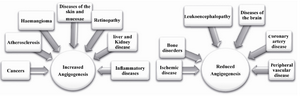 Figure 3. Two different pathological situations caused by increased or reduced angiogenesis