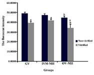 Figure 4. The fluorescence intensity of oocytes stained by Mito Tracker Green at GV and MII stages in non-vitrified and vitrified groups. GV: germinal vesicle oocytes; IVM-MII: MII oocyte derived from in vitro maturation of GV oocyte and OV-MII: MII oocyte collected from mouse oviduct. a) significant difference with non-vitrified group; b) significant difference with IVM-MII groups (p<0.05)