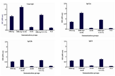 Figure 1. Total and subclass IgG response elicited by different immunization formulations. Each formulation is abbreviated on the horizontal axis of diagrams (see text for detailed materials and methods). Data show the obtained ELISA results for optimum dilution of mice sera against the coated HBsAg. Total IgG was determined at 1:50 dilution of mice sera, isotype-specific antibodies IgG2a, IgG2b and IgG1 were determined at 1:100 dilution of mice sera. Optimum dilutions were determined prior to the comparisons, by testing serially diluted sera pooled from individual mice of test groups against the coated antigen. Bars indicate the standard deviation. HBsAg: Hepatitis B Surface Antigen, Arch: Archaeosome, C/IFA: Complete/Incomplete Freund’s Adjuvant