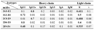 Table 2. Isotype determination of produced anti-PSA mAbs using a home-made ELISA<br />
Values representing the highest OD obtained in ELISA are highlighted






