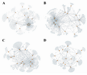 Figure 2. Number of interactions. This figure shows the GRNs for 14 TFs (orange nodes) that change their interaction numbers dramatically during cancer progression; A) Normal stage; B) Adjacent stage; C) Tumor stage; D) Metastasis stage which reflects the high level of rewiring of gene regulatory interactions.