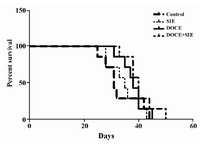 Figure 2. Survival curves of 4T1 induced breast cancer mouse models in different treatment groups (8 per group). The mean survival times in the control, SIE, DOCE and DOCE+SIE groups were 33.3± 2.7, 34.7±2.1, 38±1.7 and 40.4±2 days, respectively. No significant differences were detected between groups.