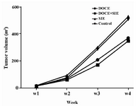 Figure 3. Effect of soy isoflavone extract on tumor volume of 4T1 mice mammary fat pad tumors (15 per group). The means of tumor volume in control, SIE, DOCE and DOCE+SIE groups were 221± 111, 235±114, 166±79 and 148±74 mm<sup>3</sup>, respectively. No significant differences were detected between groups. Control group received AIN 93M diet, the dietary soy isoflavones extract (SIE) group received AIN 93 M diet+100 mg SIE, the intravenous docetaxel injection (DOCE) group received 10 mg/kg DOCE and the combination group received soy isoflavone extract and intravenous docetaxel injection (DOCE+SIE).