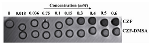 Figure 2. MR imaging signal intensity of bare and coated MNPs for different concentrations of Fe (mM) using 3 T, standard spin-echo sequence: T<sub>R</sub>=1000 ms, T<sub>E</sub>=12 ms, room temperature).