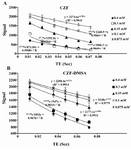 Figure 4. Plots of signal intensity for (A) CZF-MNPs and (B) CZF-MNPs-DMSA as a function of T<sub>E</sub> for different Fe concentrations (mM) of bare and coated MNPs.