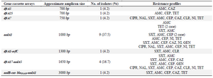 <p>Table 4. Gene cassette arrays found in class 1 integrons and related resistance profiles</p>