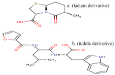 <p>Figure 1. The structure of compound P (lactam derivative) and compound T (indole derivative).</p>