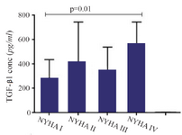 <p>Figure 3. Transforming growth factor beta 1 (TGF-&beta;1) gene expression in peripheral blood mononuclear cells of patients with chronic heart failure with different functional classes based on New York Heart Association (NYHA) classification, following incubation with PHA 1.5%.</p>