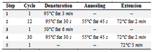 <p>Table 2. The OE 1 reaction for construction GFPd2-3'UTR fragment</p>