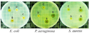 <p>Figure 4. Antibacterial effects of pigment extract obtained from different nitrogen sources including peptone (A), yeast extract (B), (NH<sub>4</sub>)<sub>2</sub> SO<sub>4 </sub>(C), and NaNO<sub>3</sub> (D)</p>