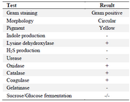 <p>Table 1. Biochemical characterization of the isolated strain MP76</p>