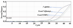 Figure 2. Real-time quantitative RCR. Amplification plots of cffDNA using q-PCR for the RHD (exon7) gene (THP protocol, QIAamp), &#946;-globin and NTC (non-template DNA).