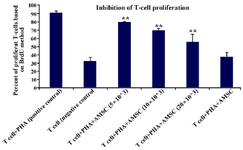 Figure 3. The inhibitory effects of hAM-MSCs on the proliferation of T cells. T cells (1×10<sup>6</sup>) were co-cultured with different densities of irradiated hAM-MSCs in the presence or absence of PHA in the final volume of 250 μl for 72 hr. Each bar was compared with the T cell+PHA (control T cells) group. Data were presented as the mean ±SD of four independent experiments **p≤0.01.